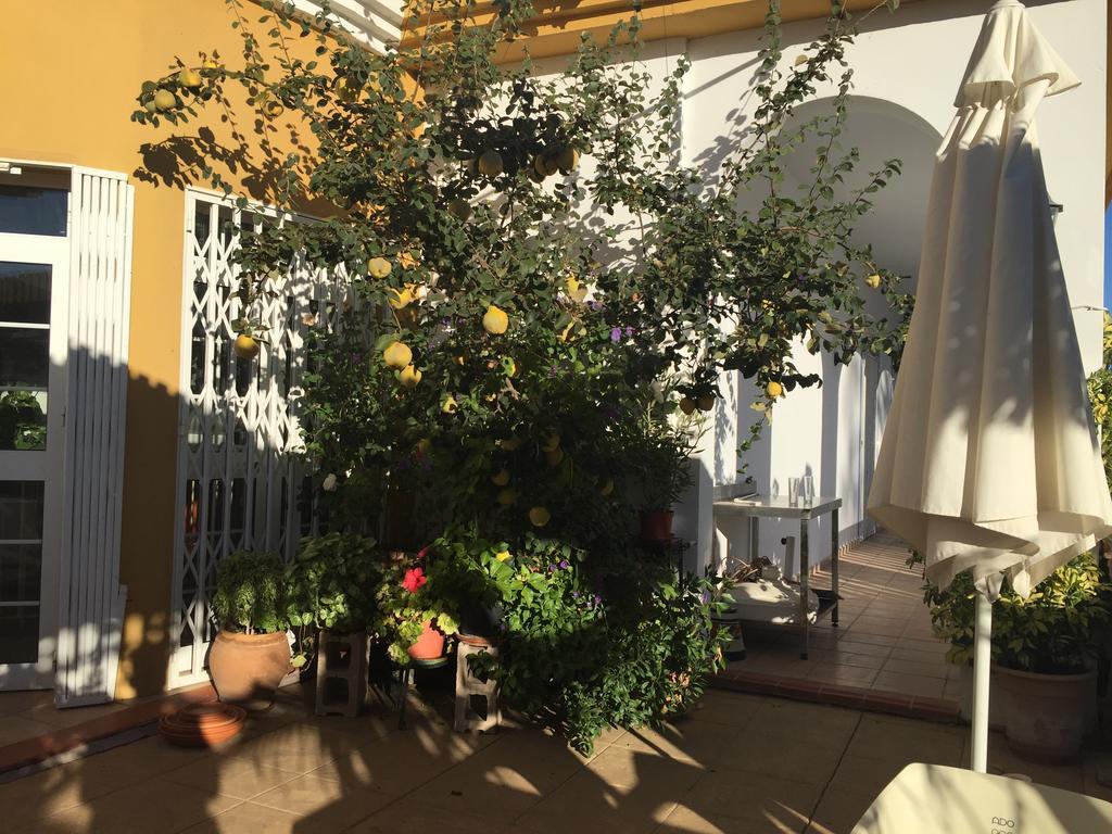 Hotel Arco Del Sol Colmenar Extérieur photo